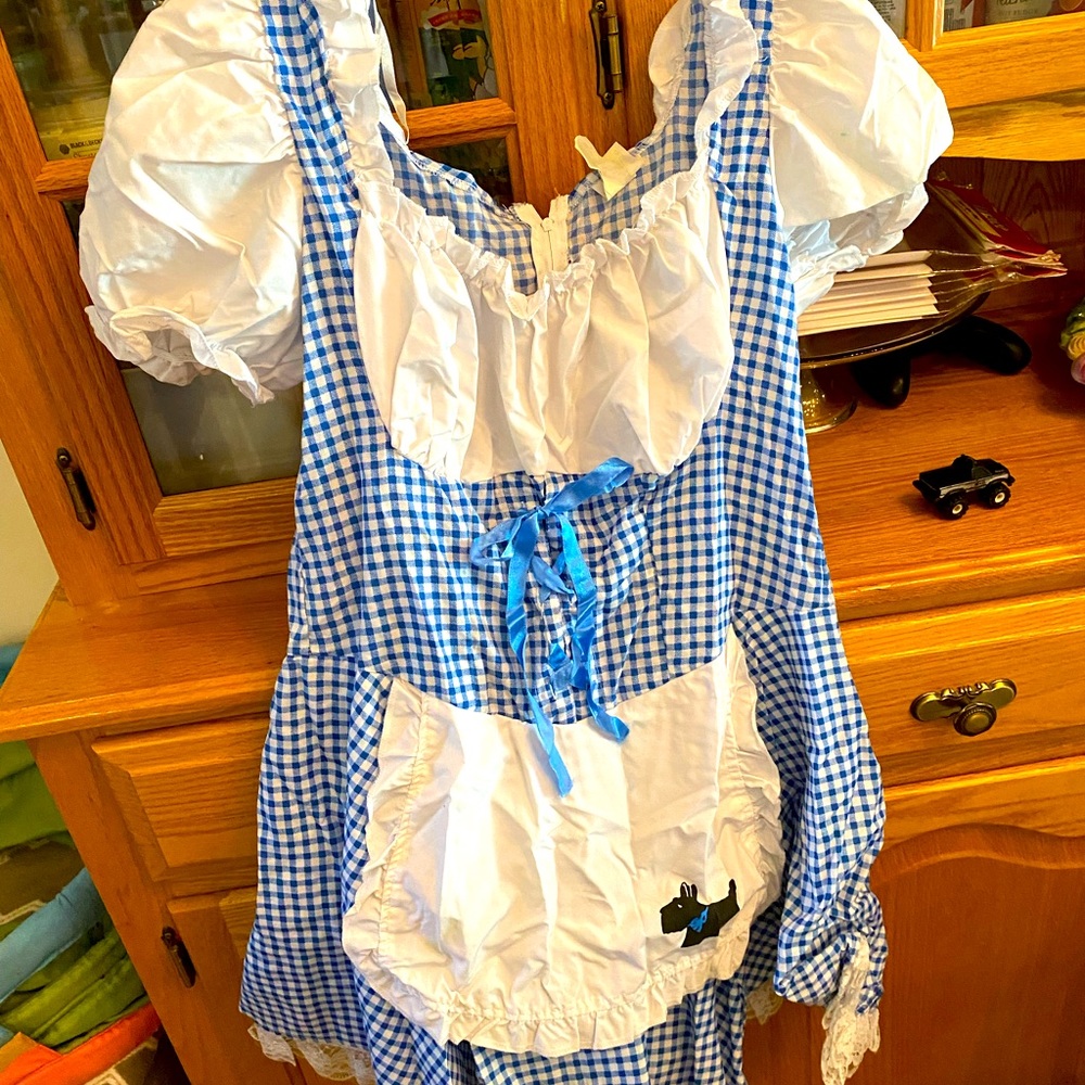 Dorothy Costume with Shoe Covers